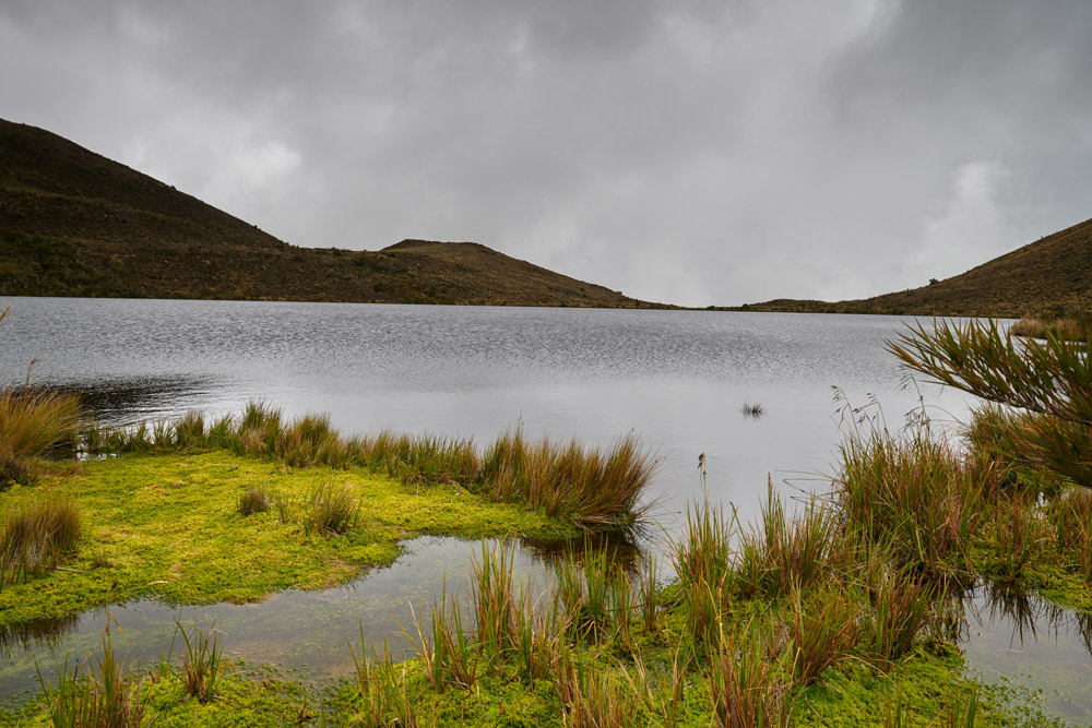 Sumapaz